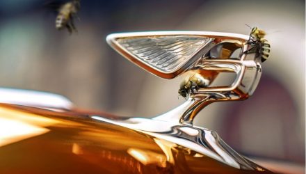 As Flying Bees da Bentley atingem novo marco no centro de excelência de produção de mel da crewe