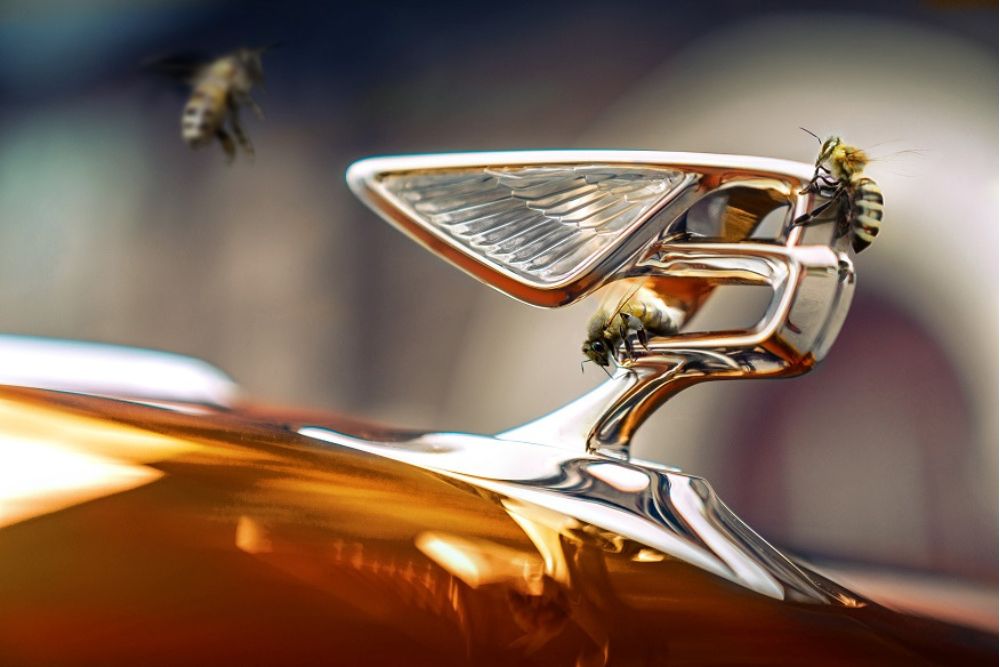 As Flying Bees da Bentley atingem novo marco no centro de excelência de produção de mel da crewe
