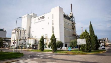 300 PMEs fornecedoras da BASF participam na formação Fornecedores Sustentáveis das Nações Unidas